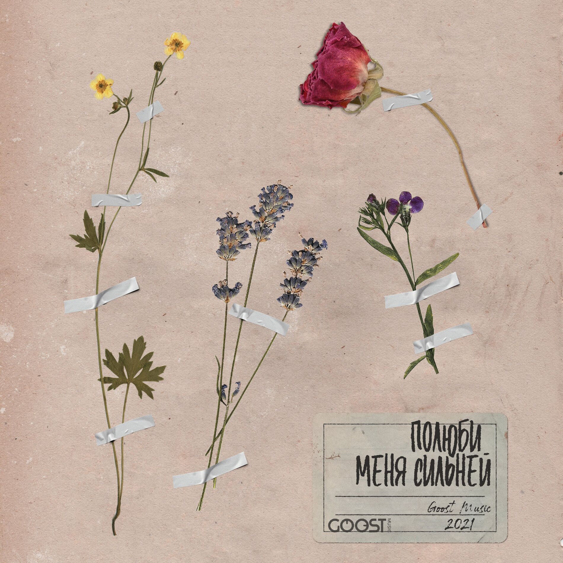 Album cover of ПОЛЮБИ МЕНЯ СИЛЬНЕЙ