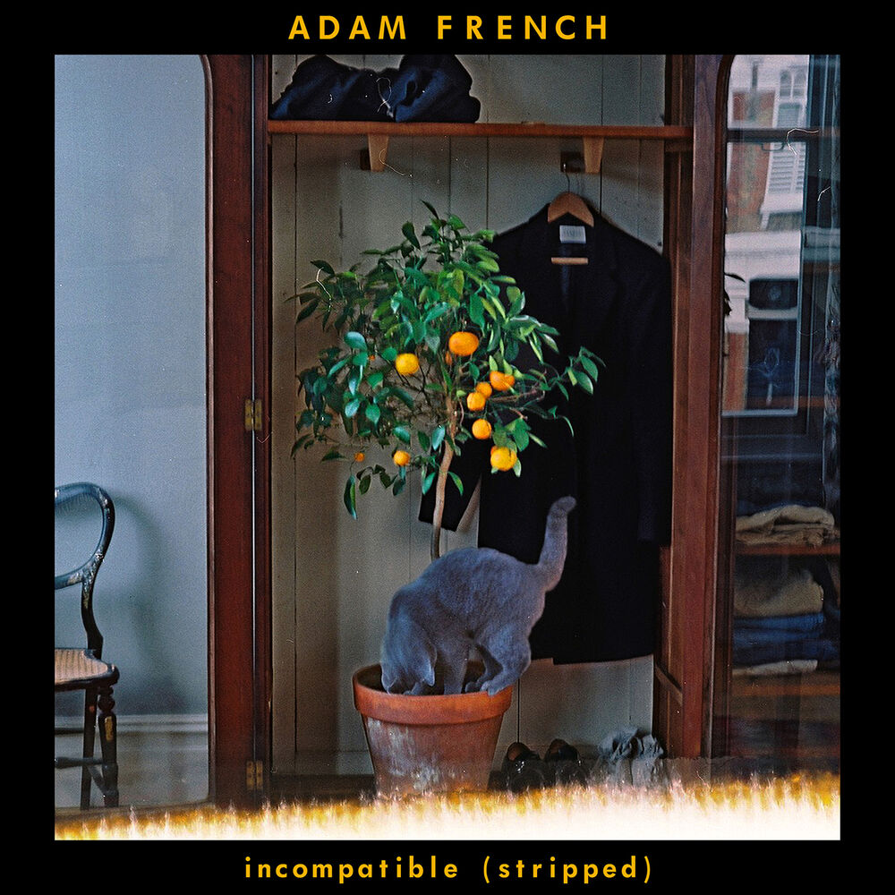 Picture of Incompatible (Stripped)