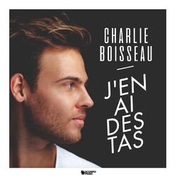 Cover of J'en ai des tas