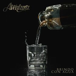 Cover of Brindo Con Agua