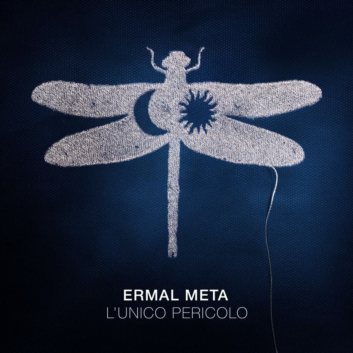 Album cover of L'unico pericolo