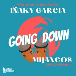 Cover of Going Down