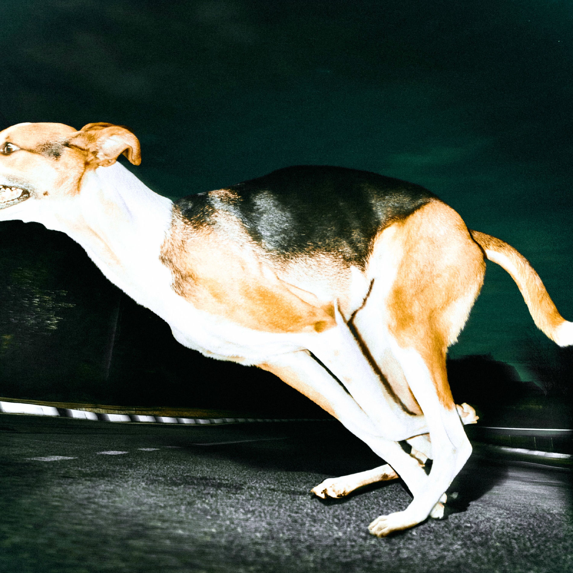 Album cover of general paz