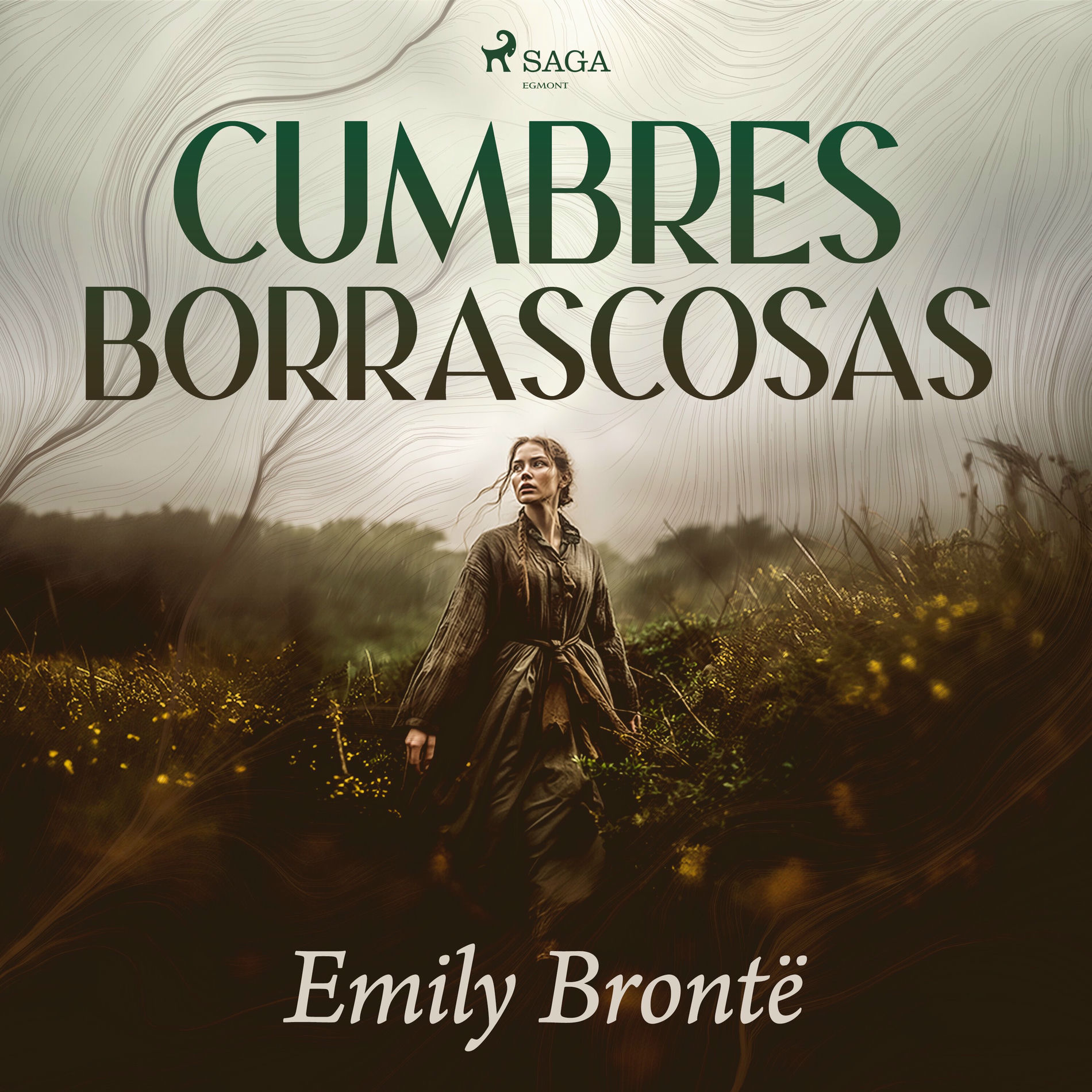 Album cover of Cumbres Borrascosas