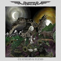 Cover of Feathers & Flesh