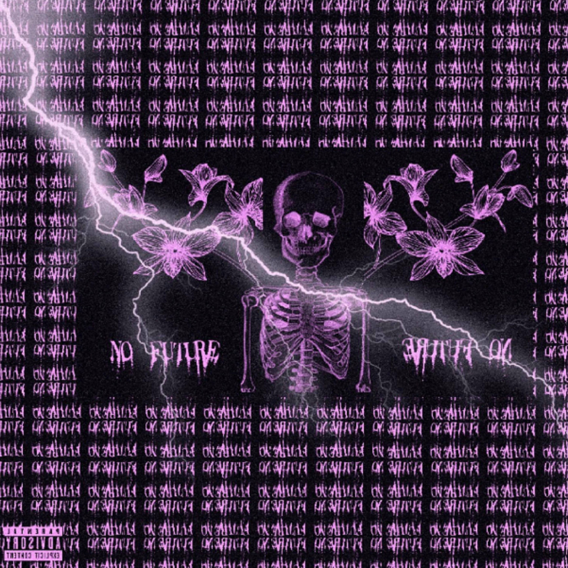 Album cover of No Future