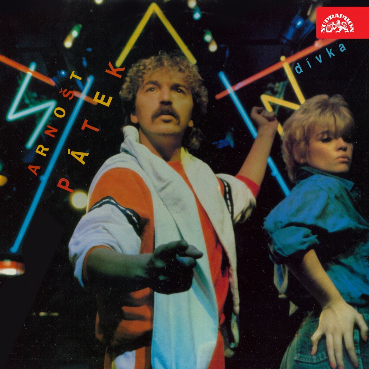 Album cover of Dívka