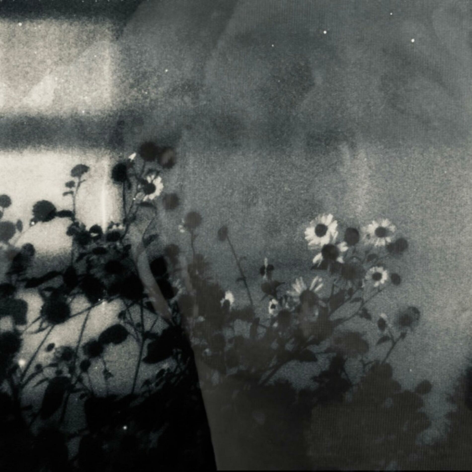 Album cover of Hollows