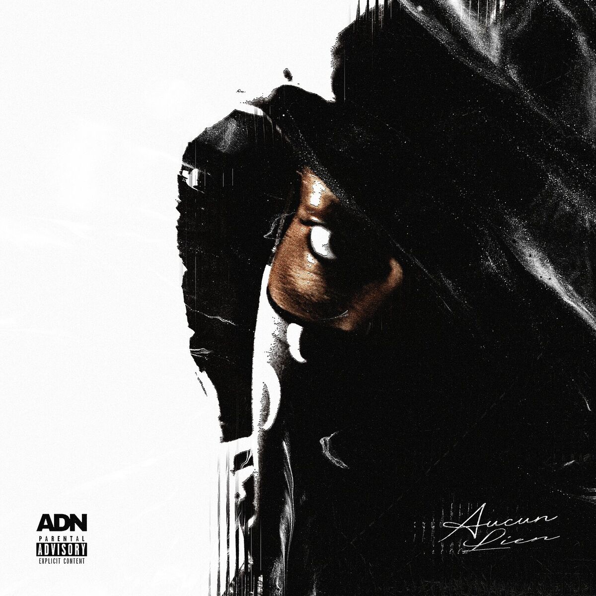 Album cover of AUCUN LIEN