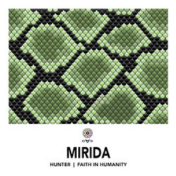 Cover of Hunter