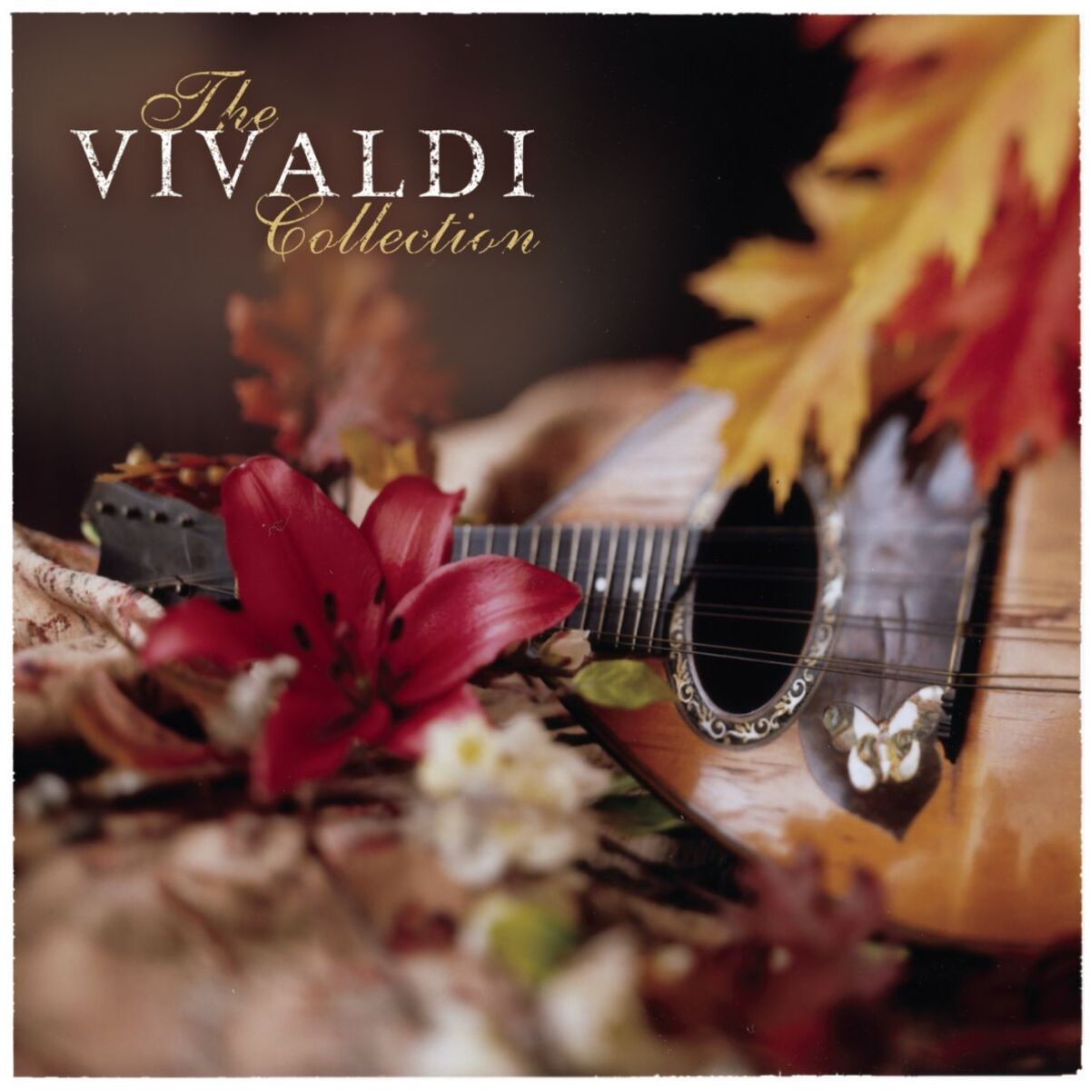 Album cover of The Vivaldi Collection
