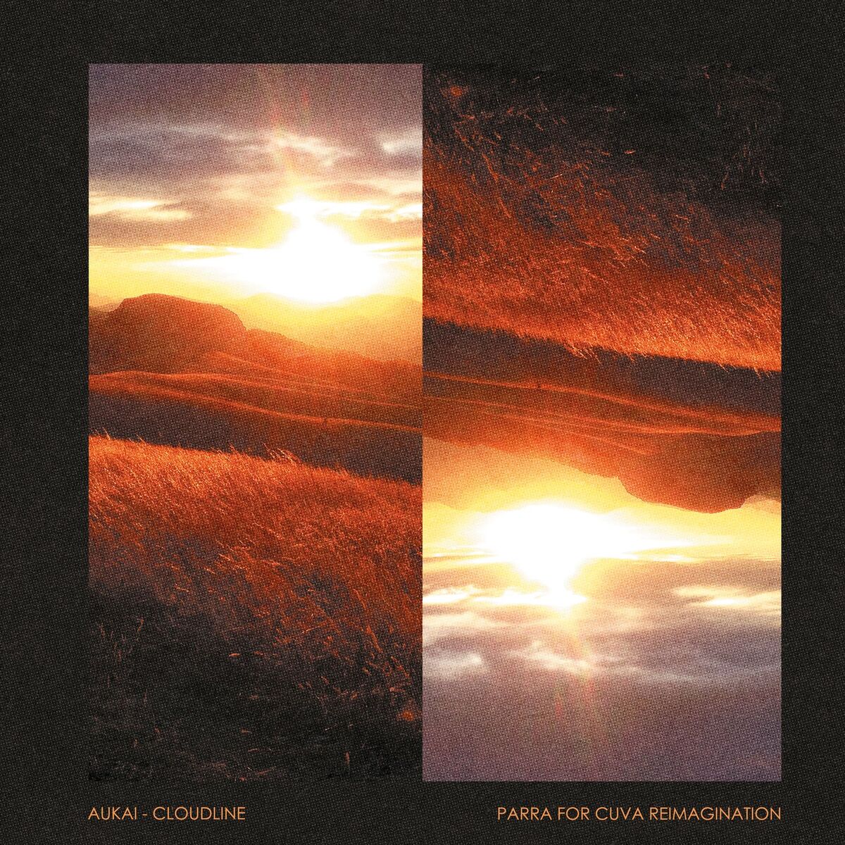 Album cover of Cloudline (Parra for Cuva Reimagination)