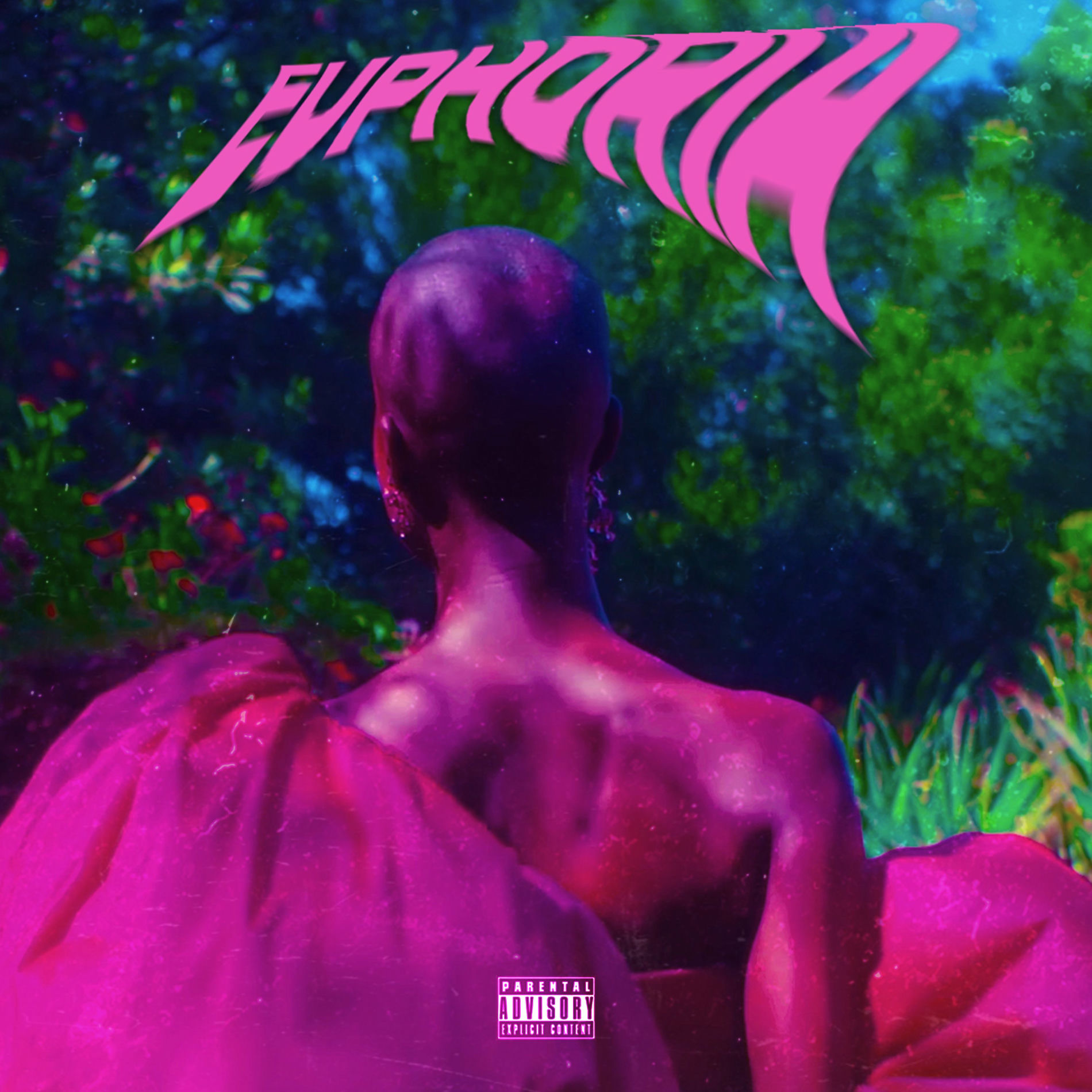 Album cover of Euphoria