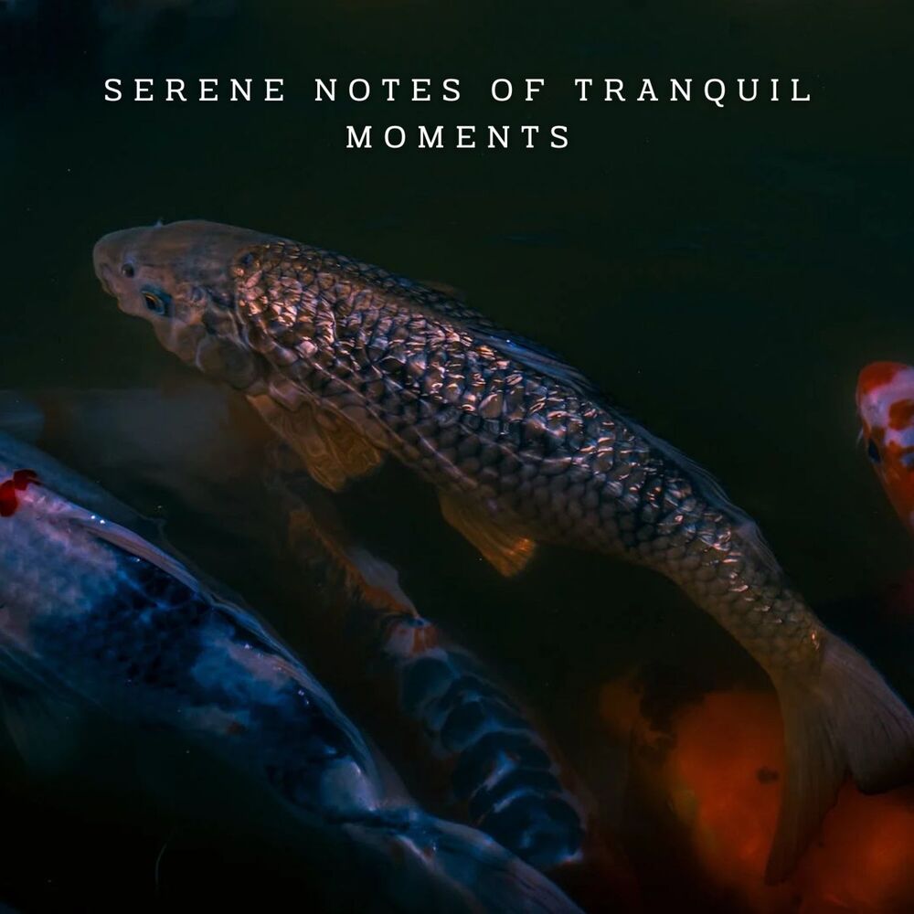 Picture of Piano Pet Harmony: Serene Melodies for Animal Companions