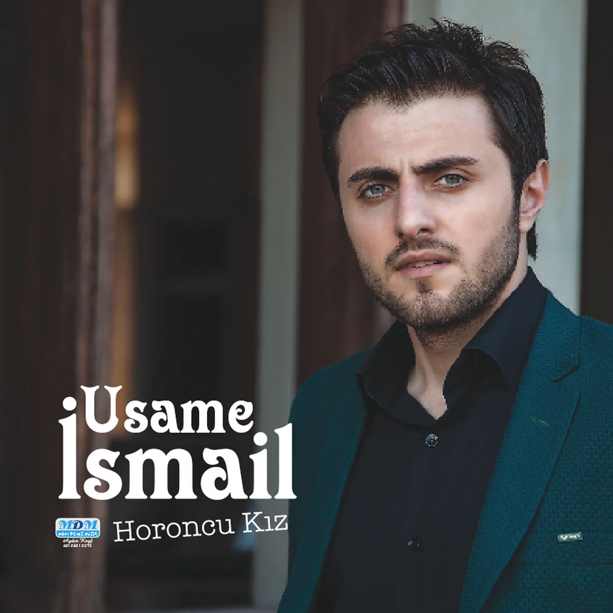 Album cover of Horoncu Kız