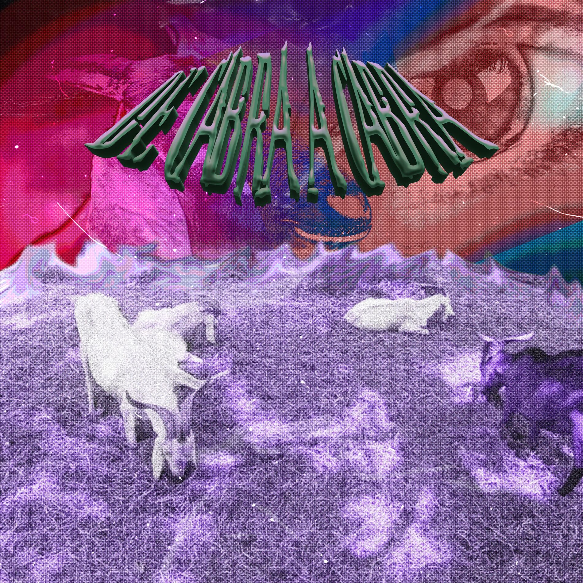 Album cover of De Cabra a Cabra