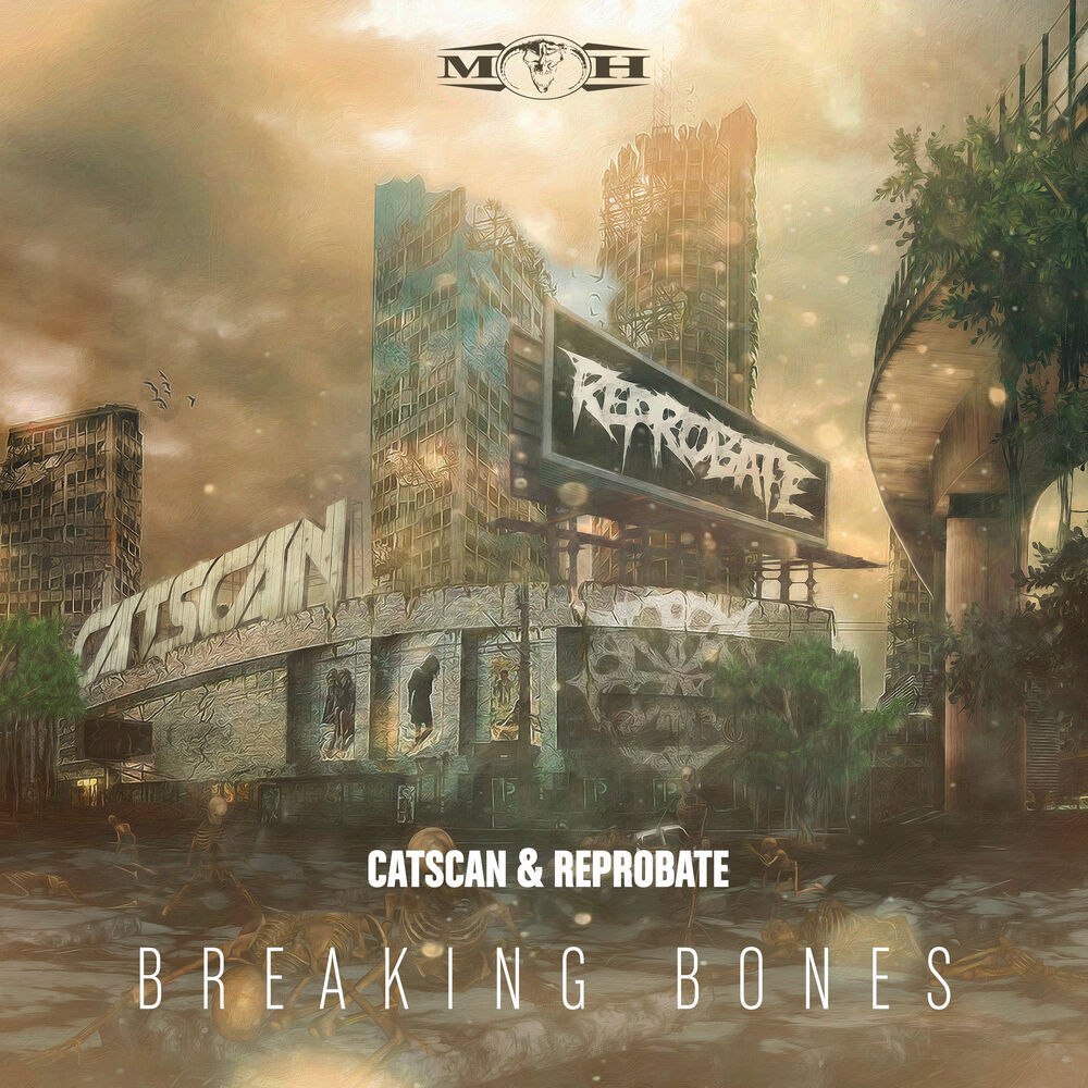 Picture of Breaking Bones