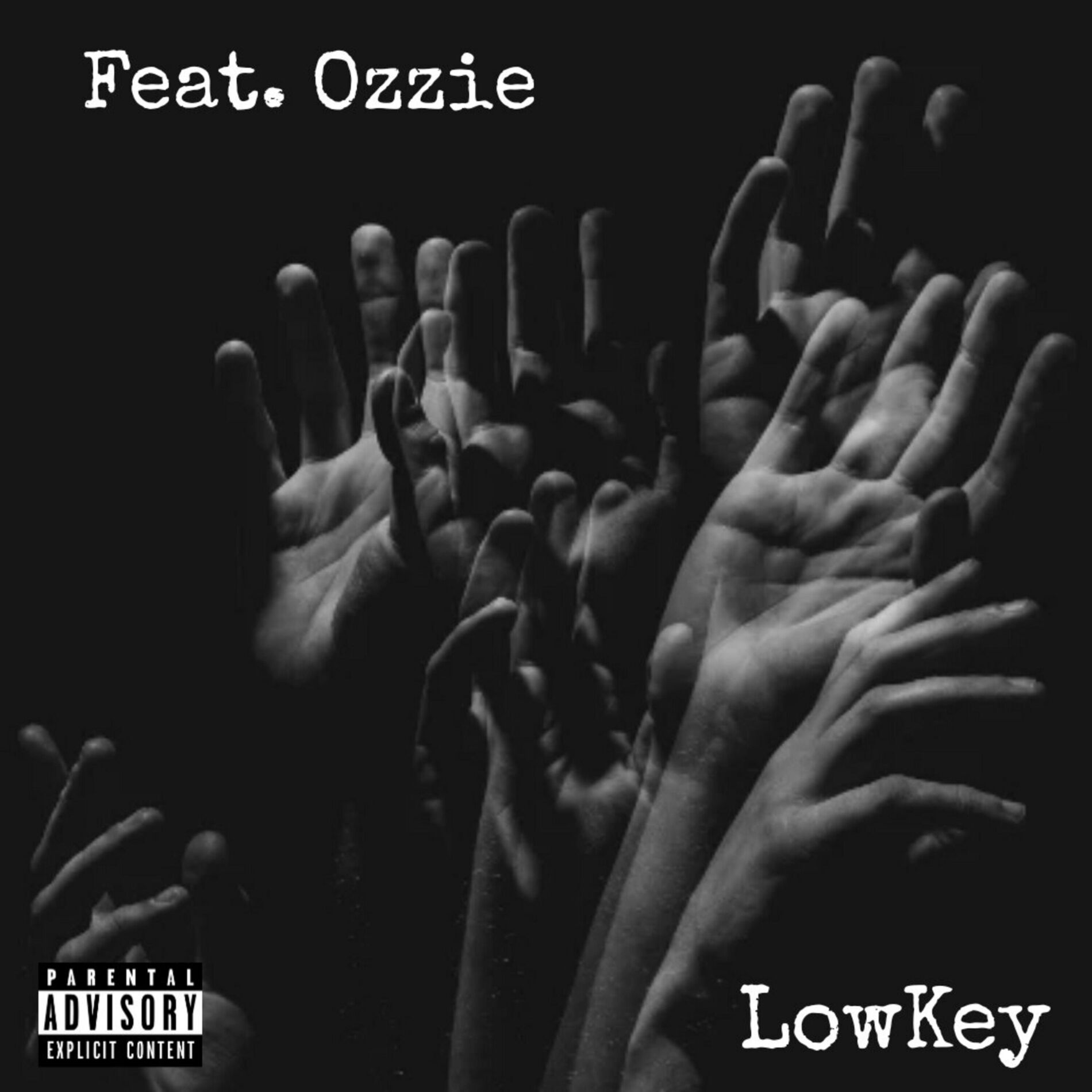 Album cover of LowKey