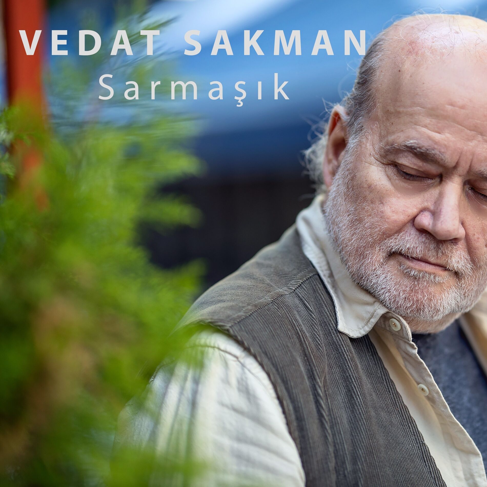Album cover of Sarmaşık
