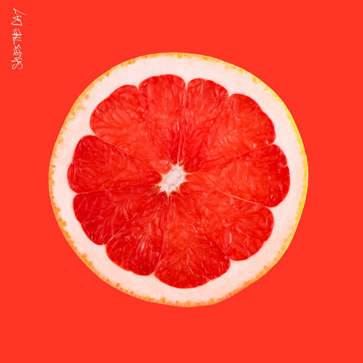 Album cover of Saves The Day
