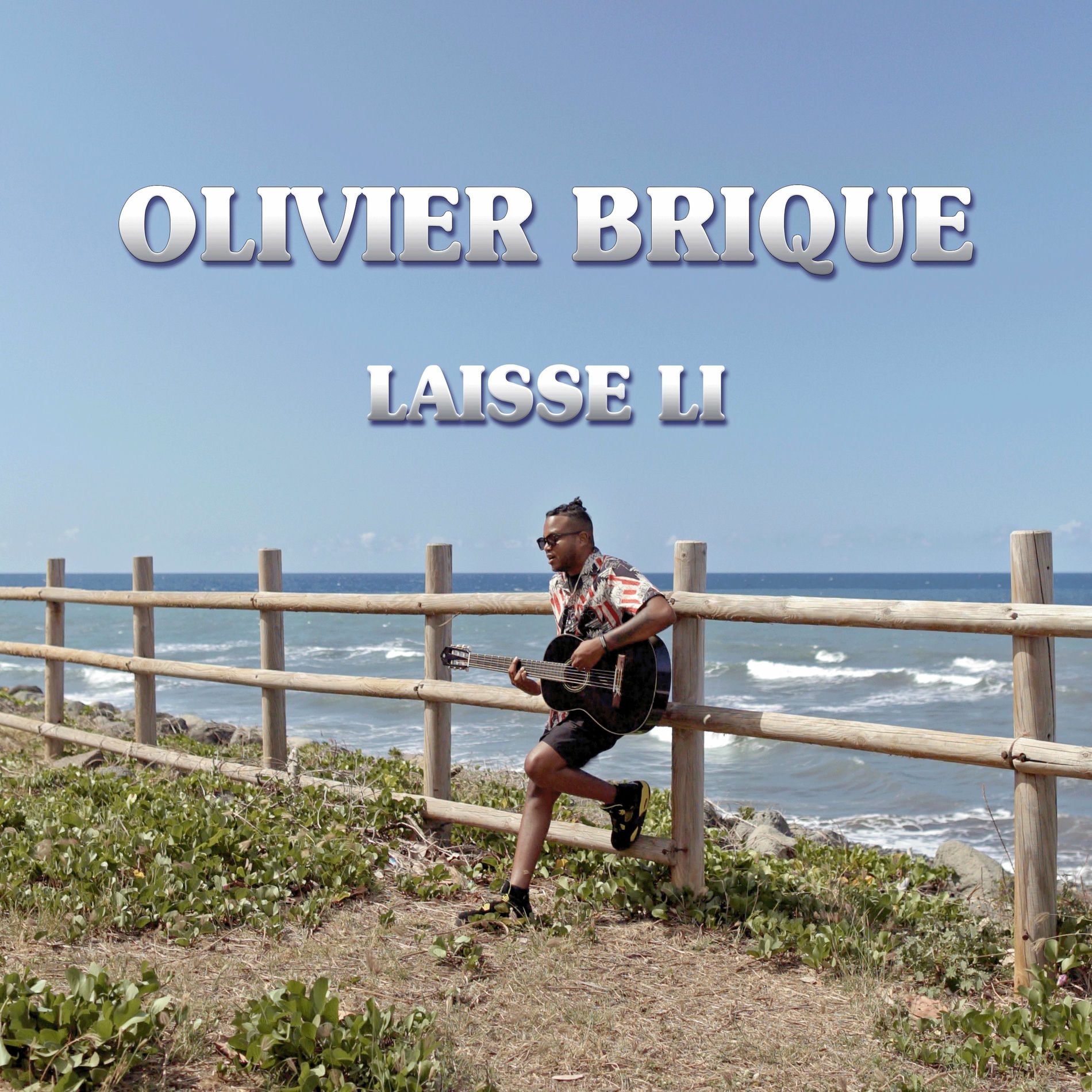 Album cover of Laisse Li