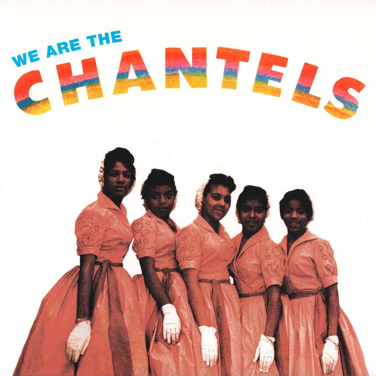 Album cover of We Are the Chantels