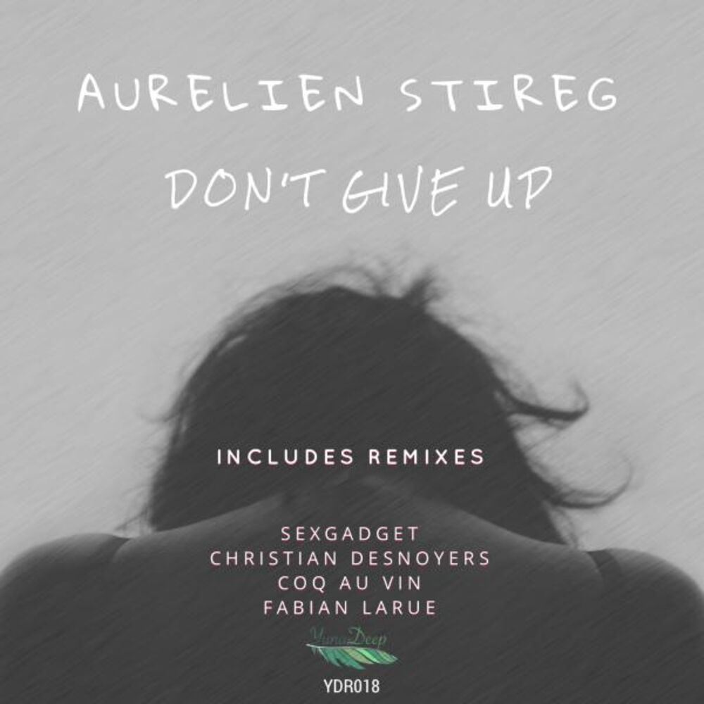 Picture of Don't Give Up