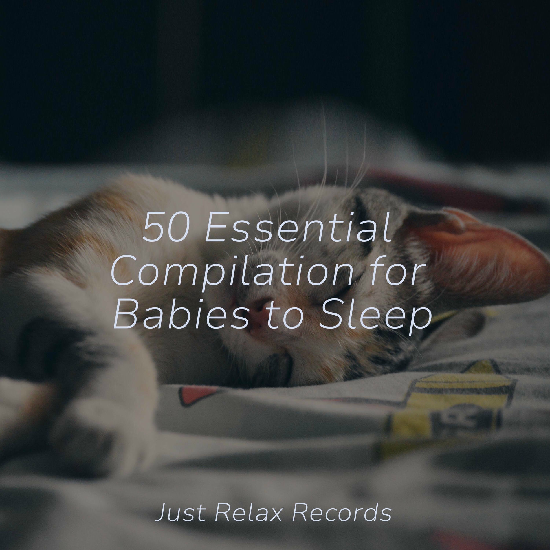 Album cover of 50 Essential Compilation for Babies to Sleep