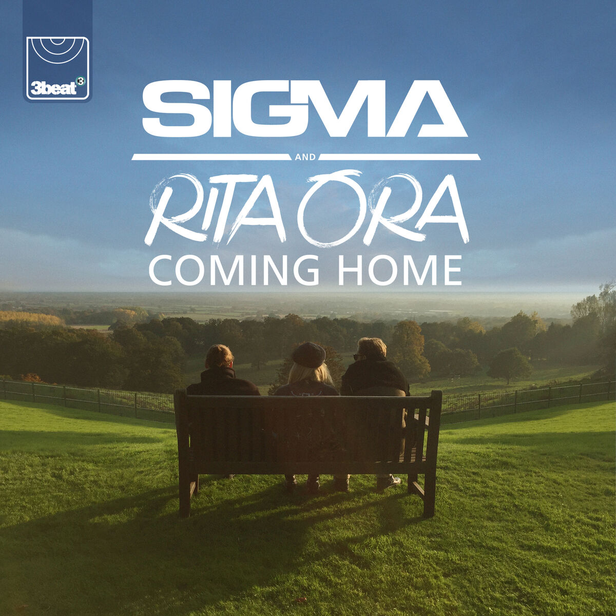 Album picture of Coming Home