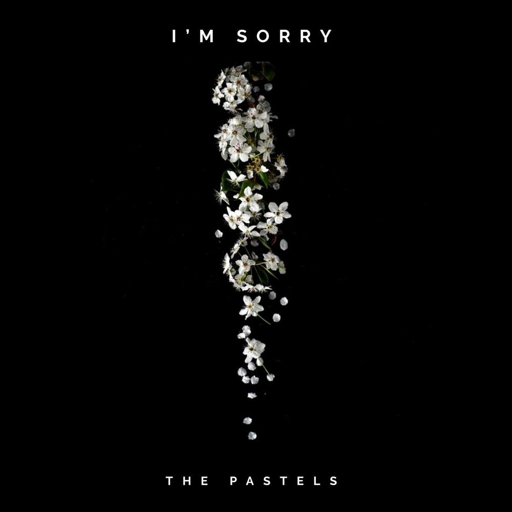 Picture of I’m Sorry