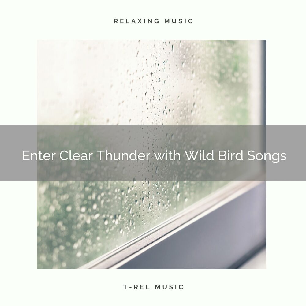 Picture of 1 Enter Clear Thunder with Wild Bird Songs