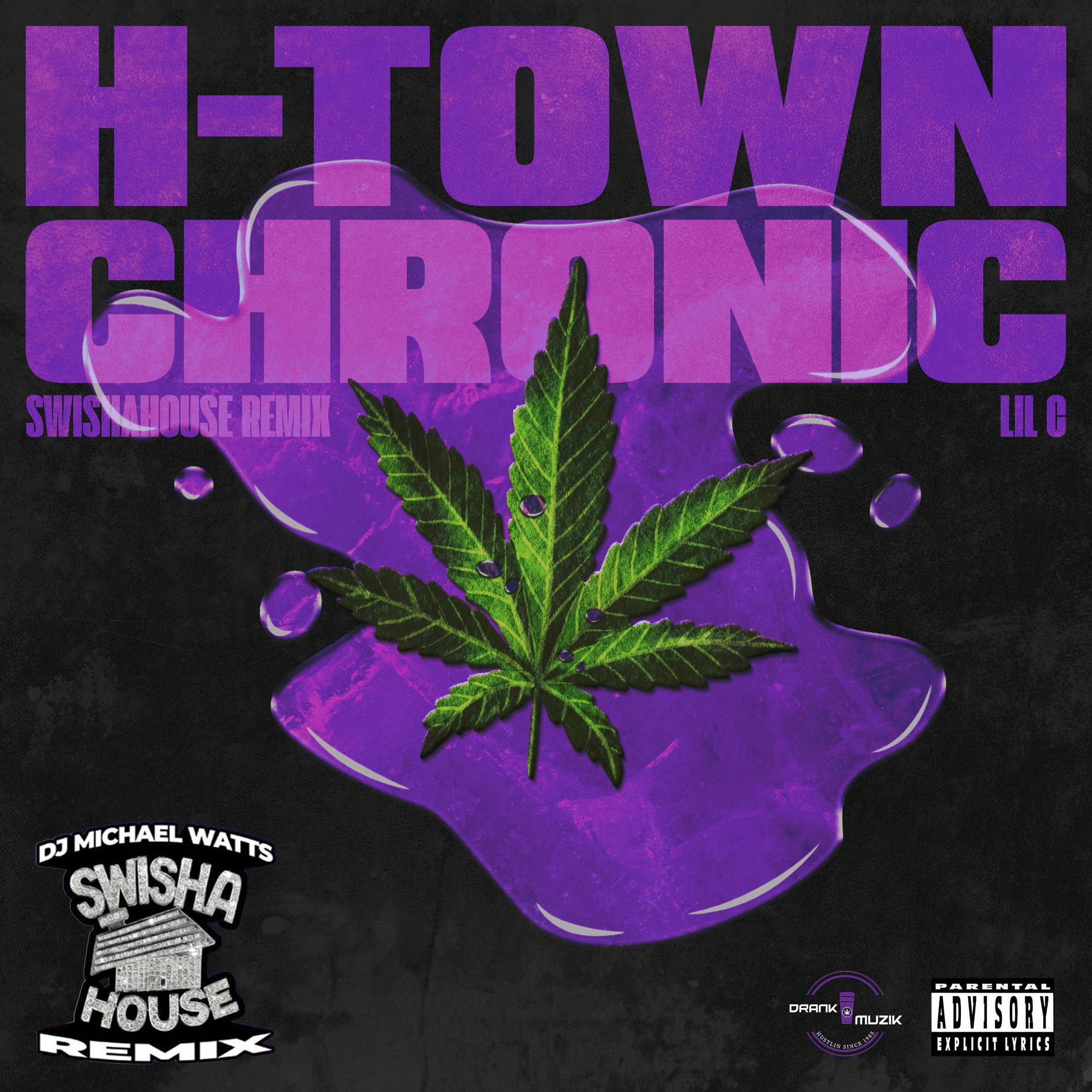 Album cover of H-Town Chronic (Swishahouse Remix)