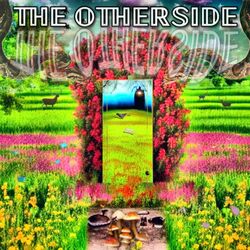 Cover of The Otherside