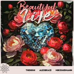 Cover of Beautiful Life