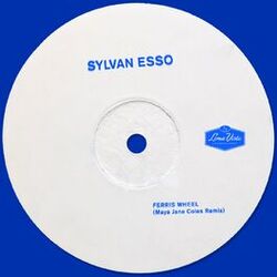 Cover of Ferris Wheel (Maya Jane Coles Remix)