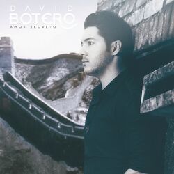 Cover of Amor Secreto