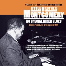 Cover of No Special Rider Blues - Live in 1980