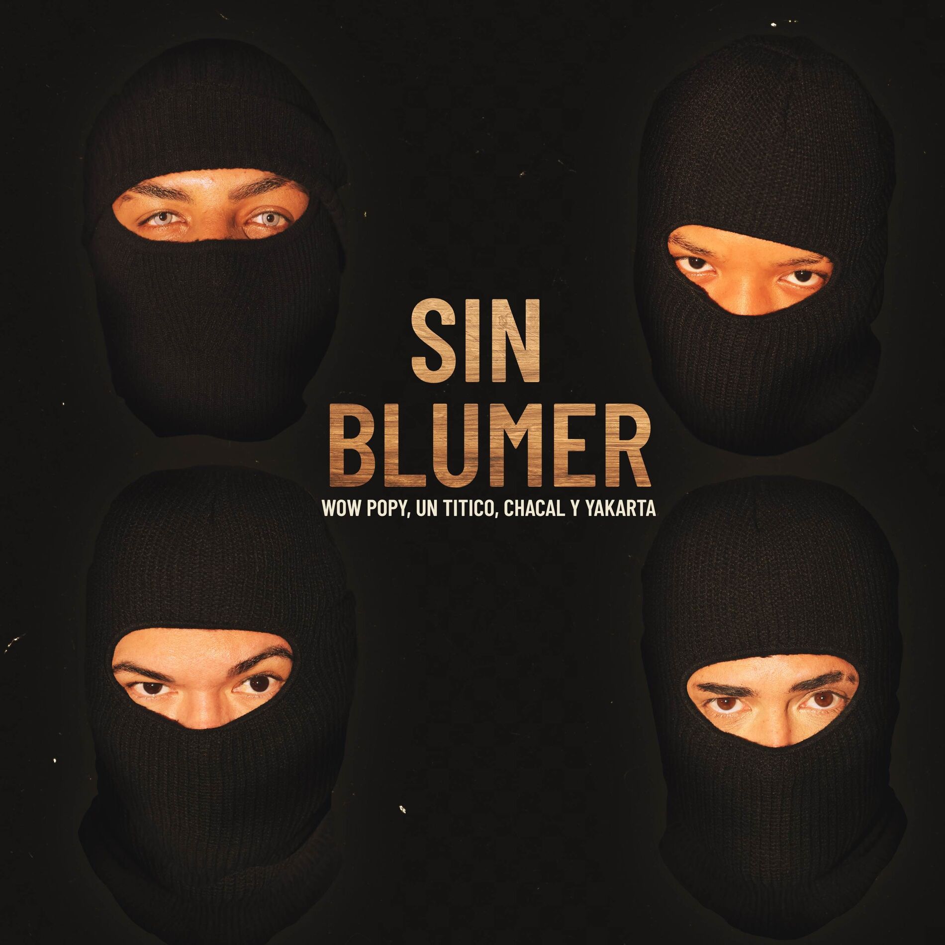 Album cover of Sin Blumer