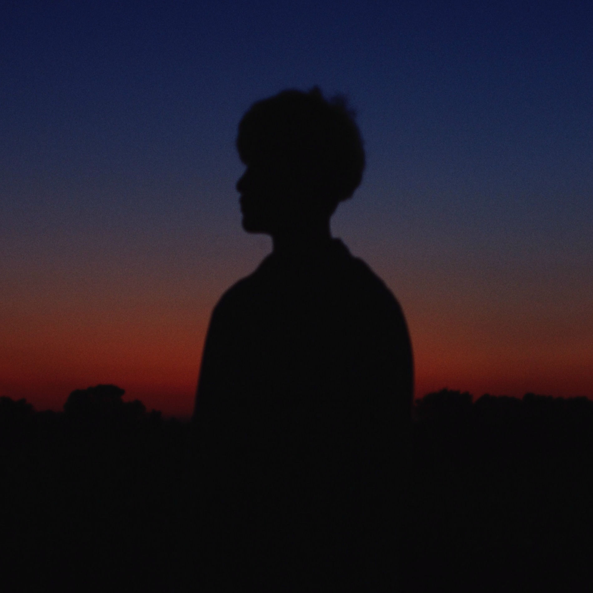 Album cover of SOAR