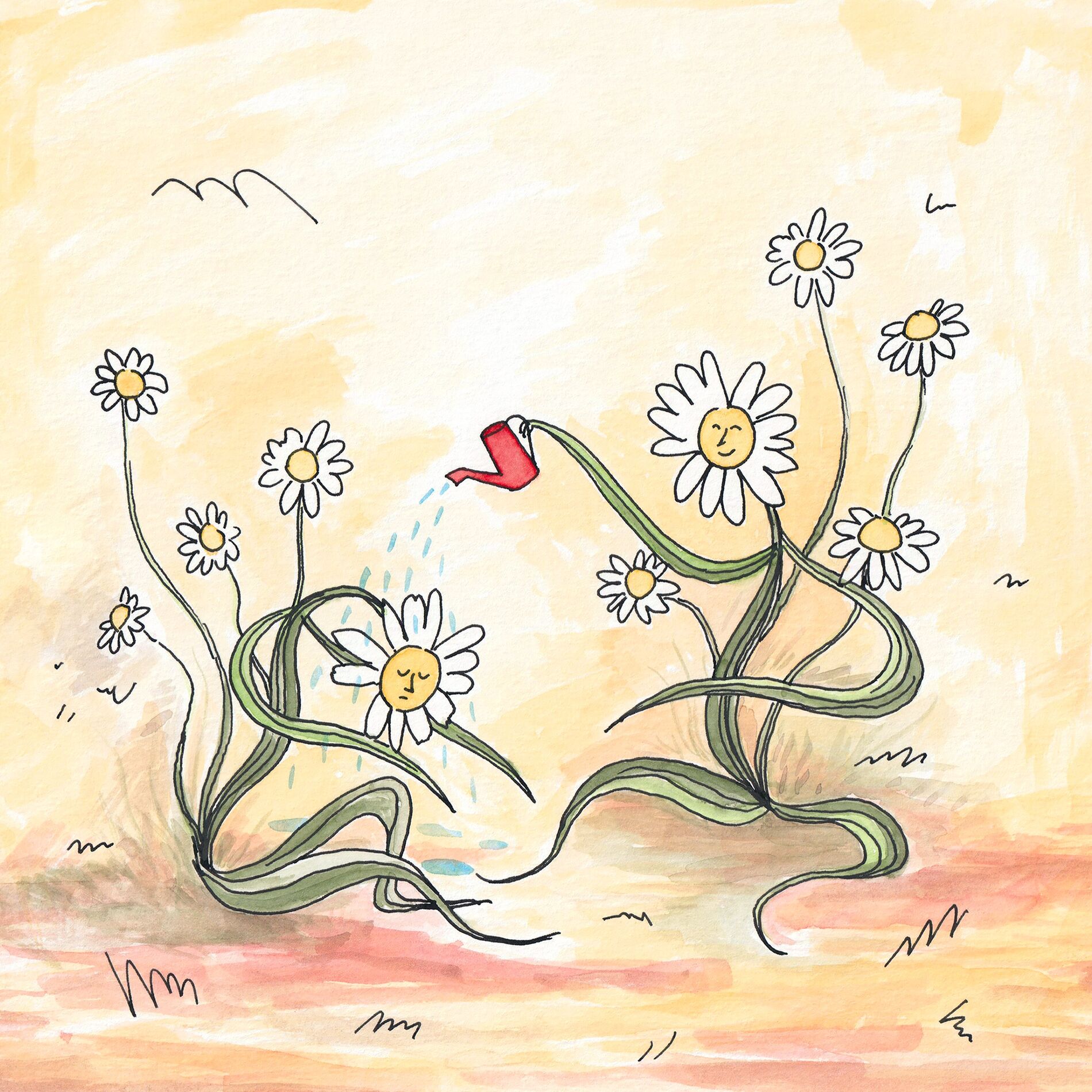 Album cover of Chamomile