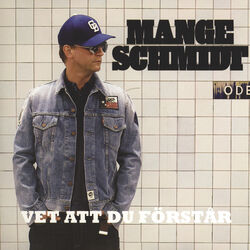 Cover of Vet att du förstår