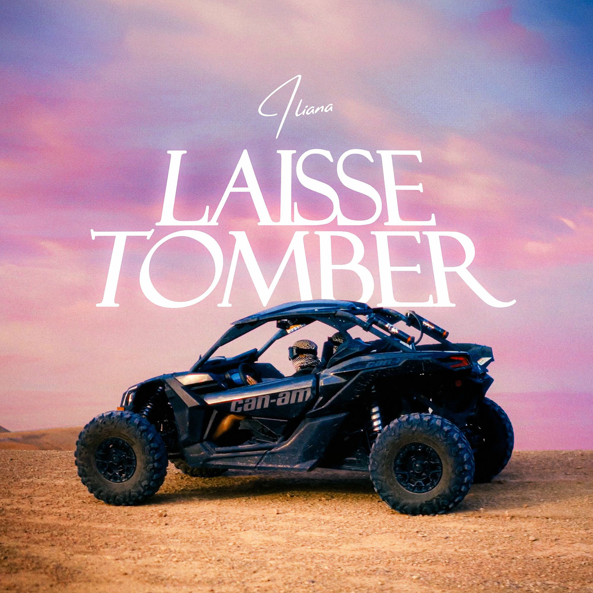 Album cover of Laisse Tomber