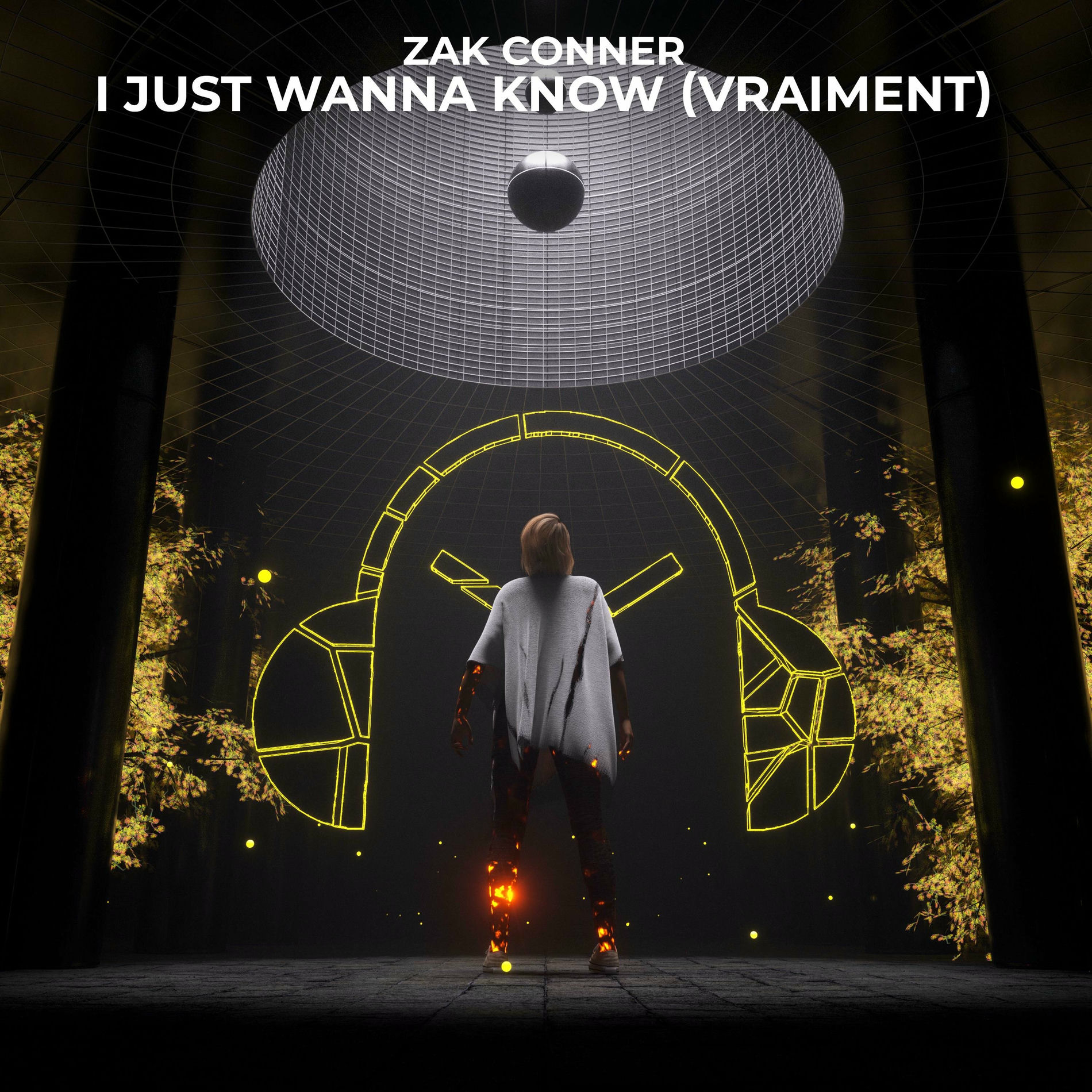 Album cover of I Just Wanna Know (Vraiment)