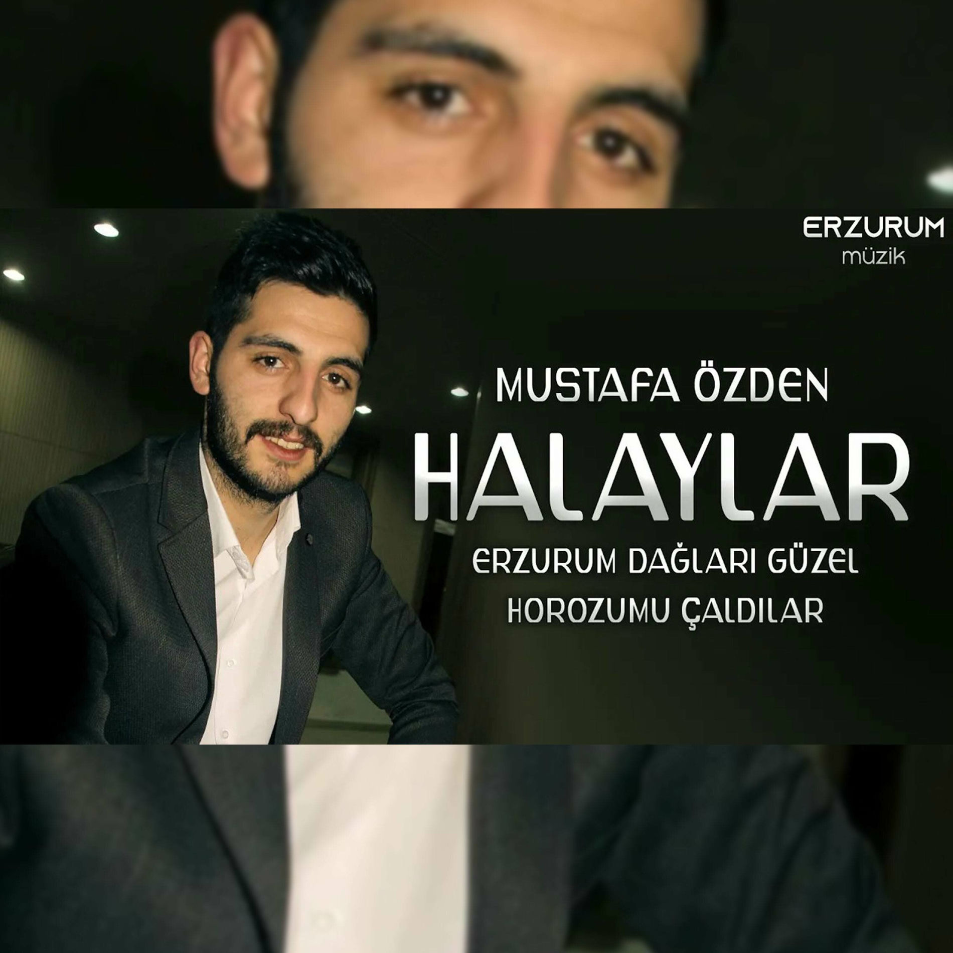 Album cover of Erzurum Dağları Güzel, Horozumu Çaldılar (Erzurum Halayları)
