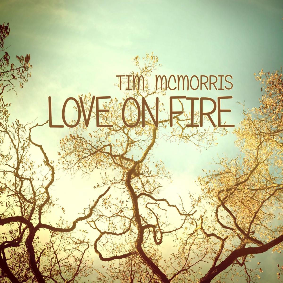 Album cover of Love on Fire