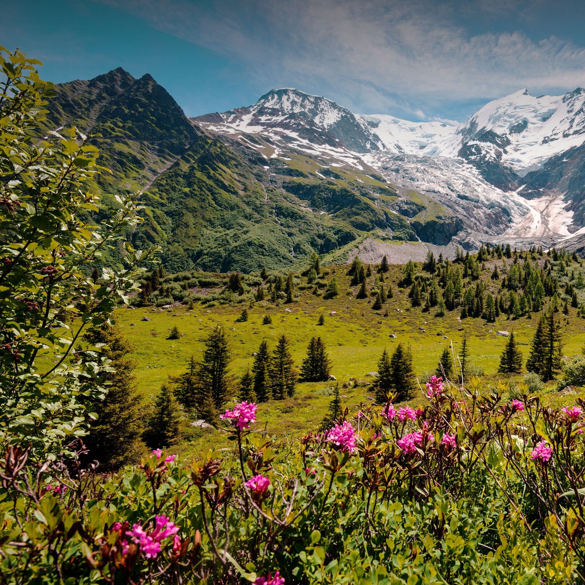 Album cover of Dans la Tarentaise