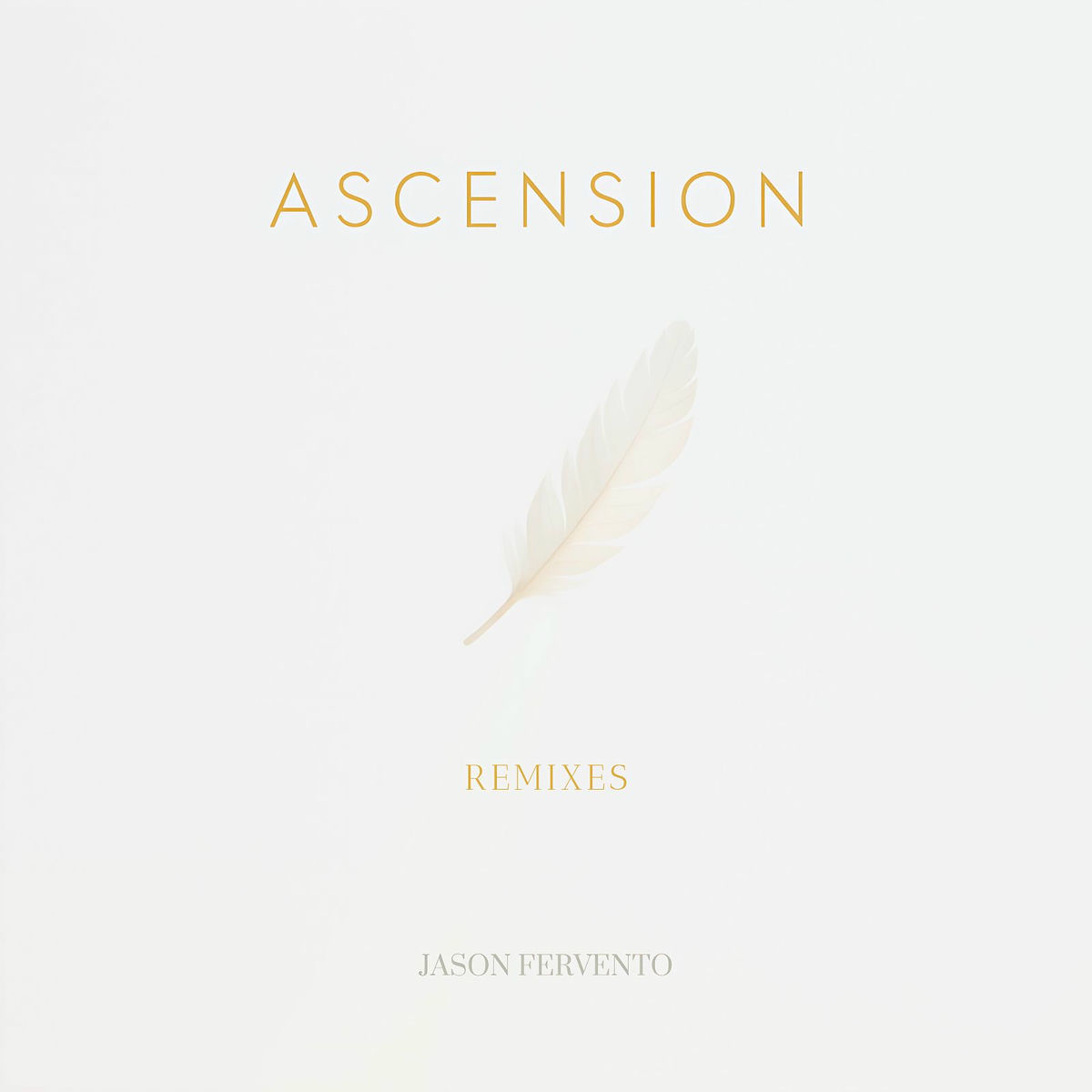Album cover of Ascension (Remixes)