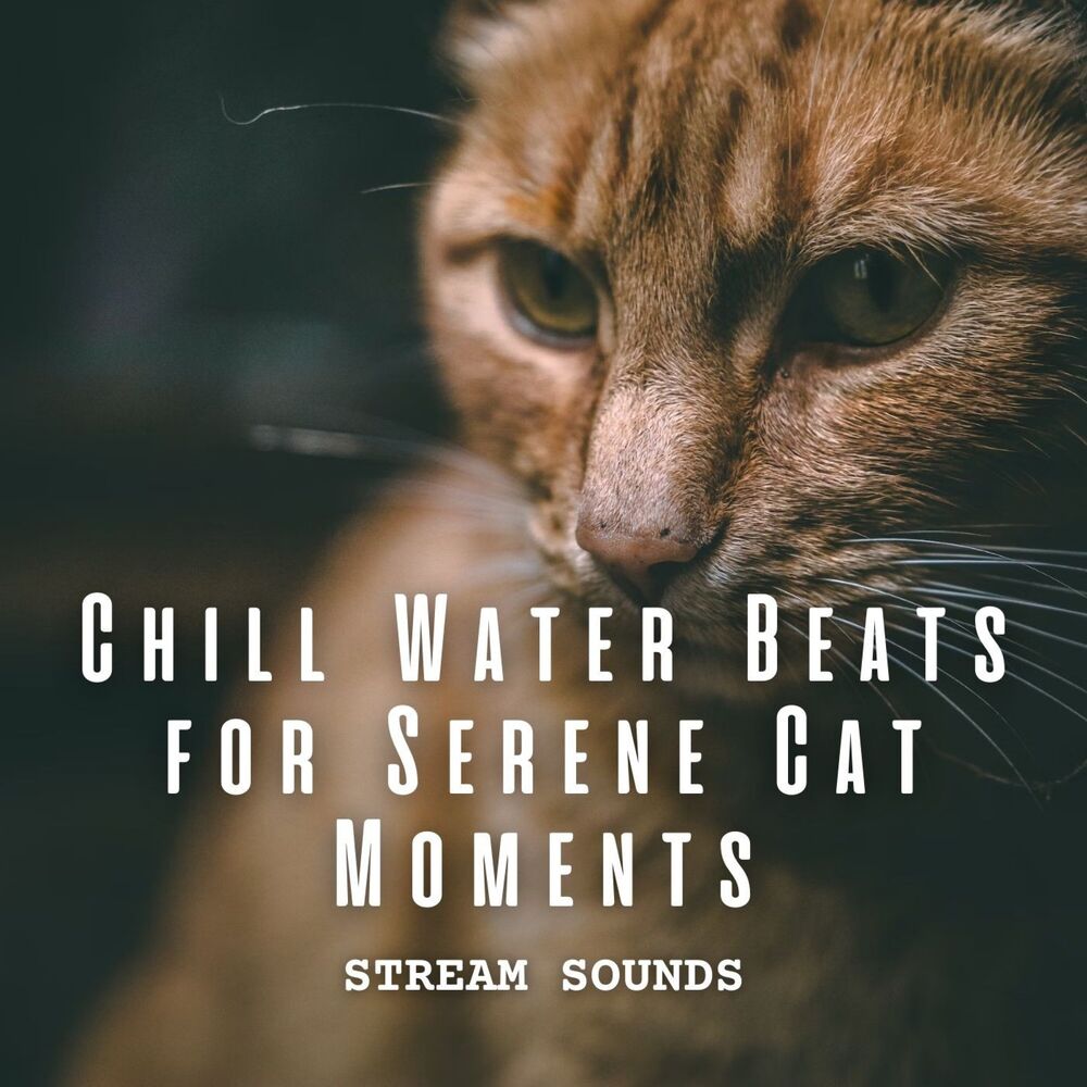 Picture of Streams Sounds: Chill Water Beats for Serene Cat Moments