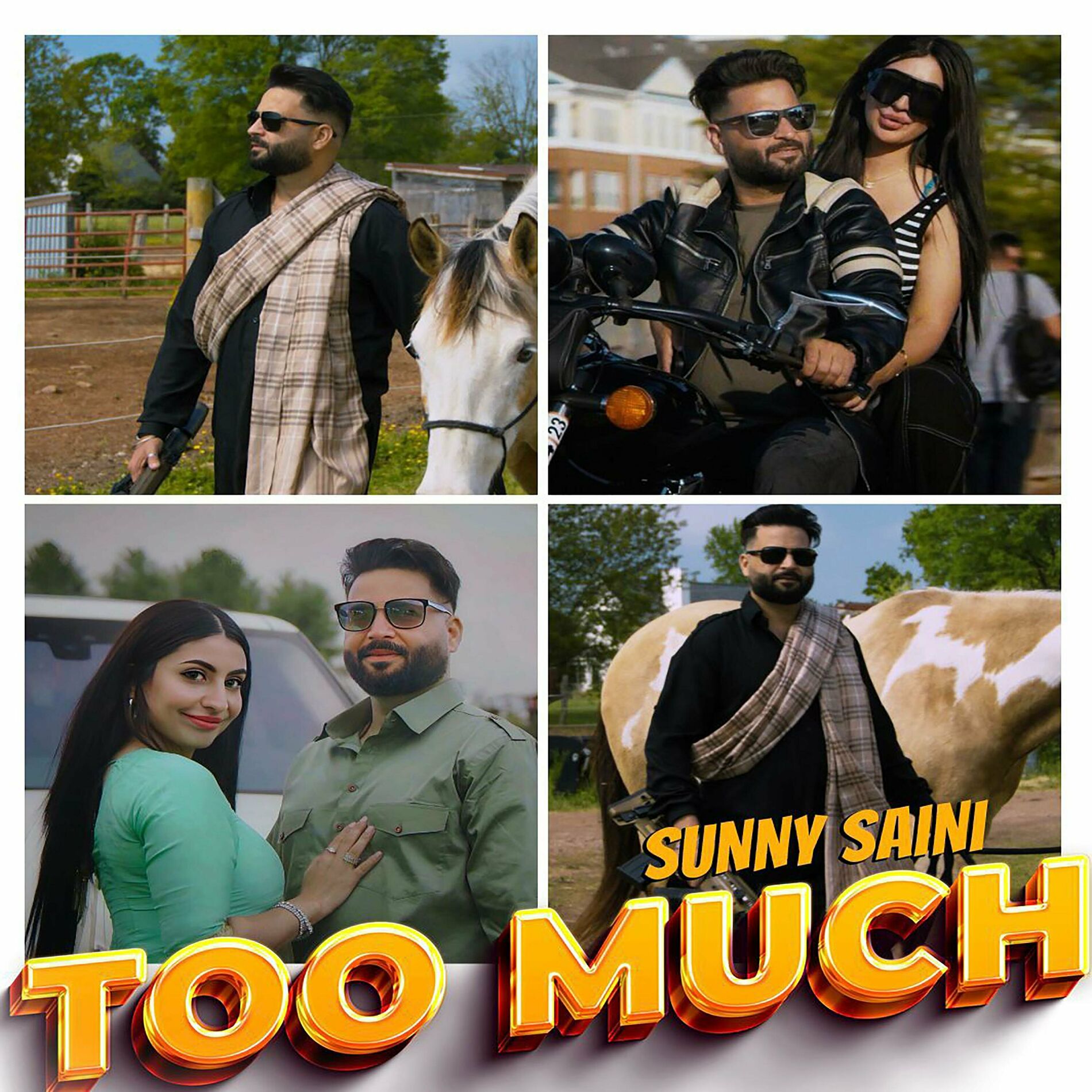 Album cover of Too Much (feat. Sudesh Kumari & Deep Jandu)