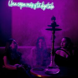 Cover of Malvada